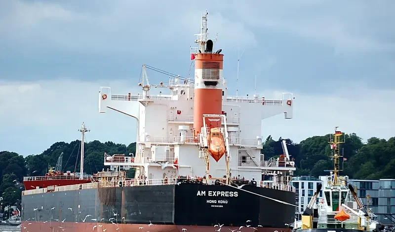 AM EXPRESS Bulk Carrier IMO 9461350 photo 4