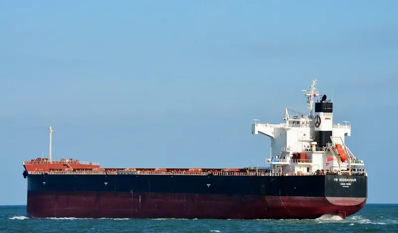 YM ENDEAVOUR Bulk Carrier IMO 9461362 photo 2