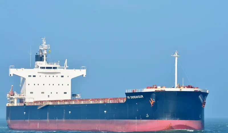 YM ENDEAVOUR Bulk Carrier IMO 9461362 photo 3