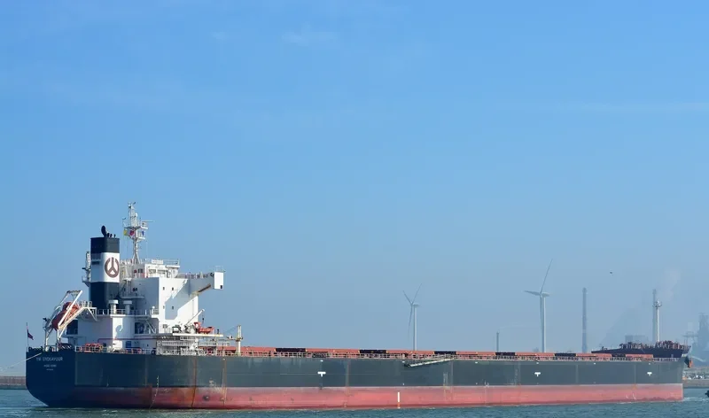 YM ENDEAVOUR Bulk Carrier IMO 9461362 photo 4