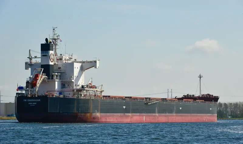YM ENDEAVOUR Bulk Carrier IMO 9461362 photo 5
