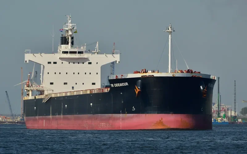 YM ENDEAVOUR Bulk Carrier IMO 9461362 photo 6