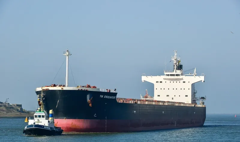 YM ENDEAVOUR Bulk Carrier IMO 9461362 photo 8