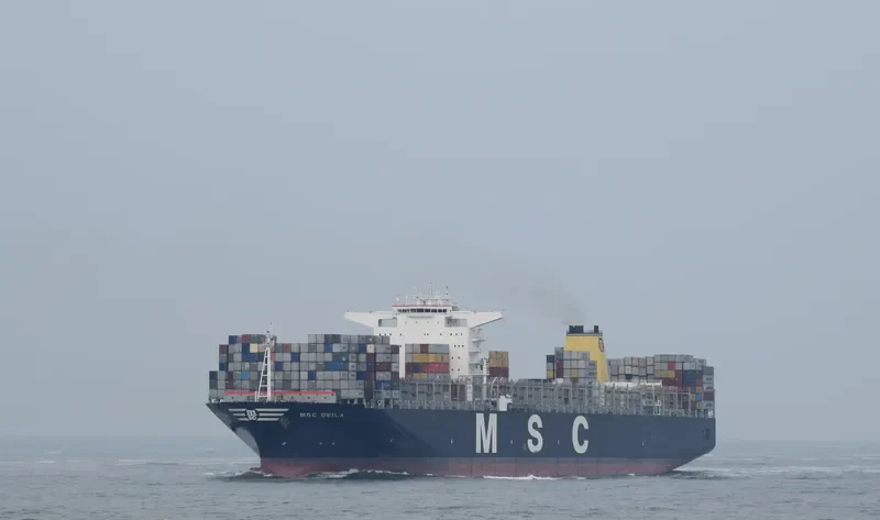 MSC DEILA Container Ship IMO 9461415 photo 2