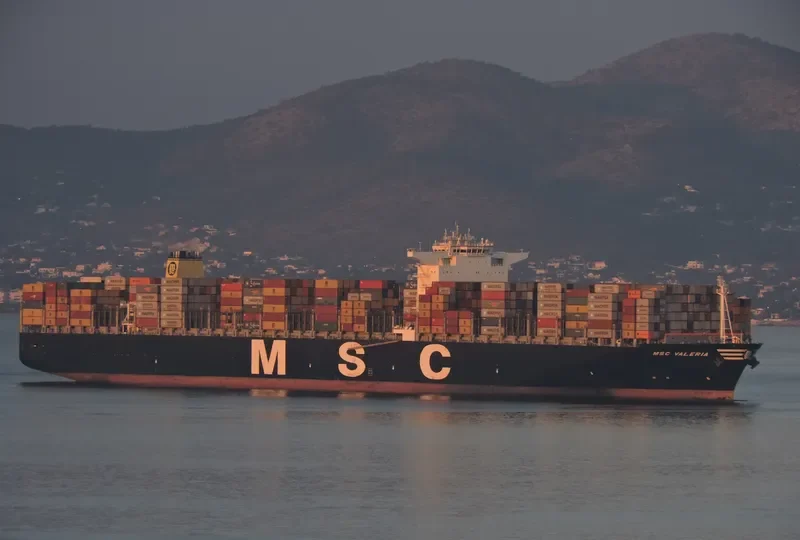 MSC VALERIA Container Ship IMO 9461439 photo 3