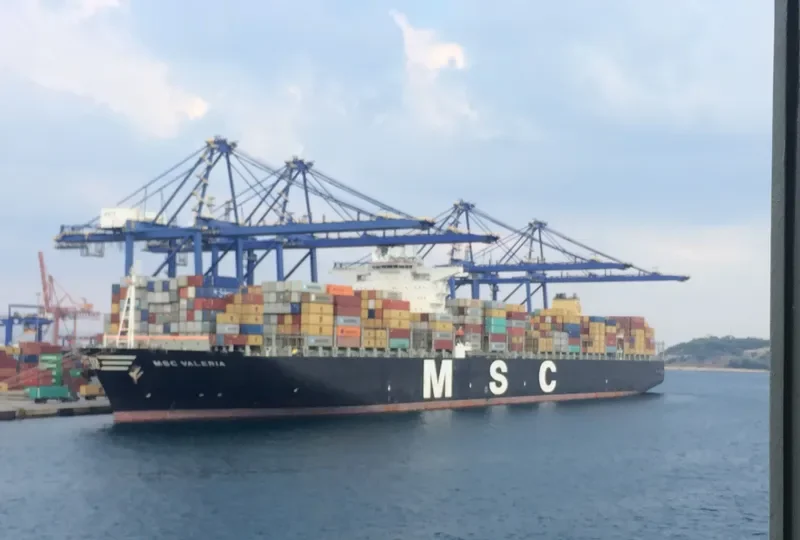 MSC VALERIA Container Ship IMO 9461439 photo 4