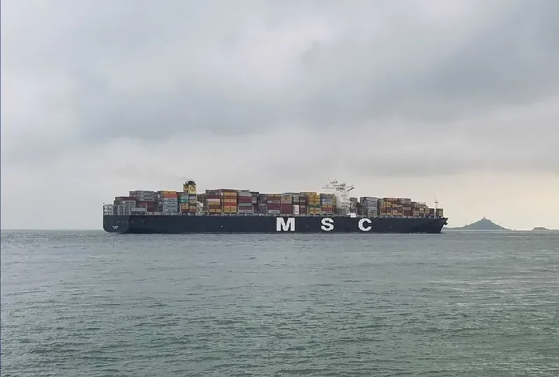 MSC VALERIA Container Ship IMO 9461439 photo 5