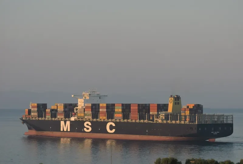 MSC VALERIA Container Ship IMO 9461439 photo 7