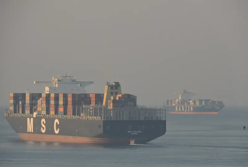 MSC VALERIA Container Ship IMO 9461439 photo 8