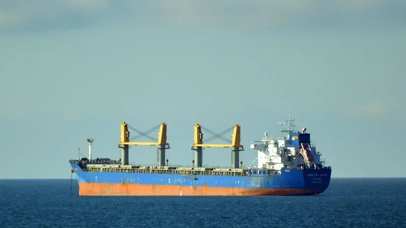 YANGTZE OASIS Bulk Carrier IMO 9461972 photo 3