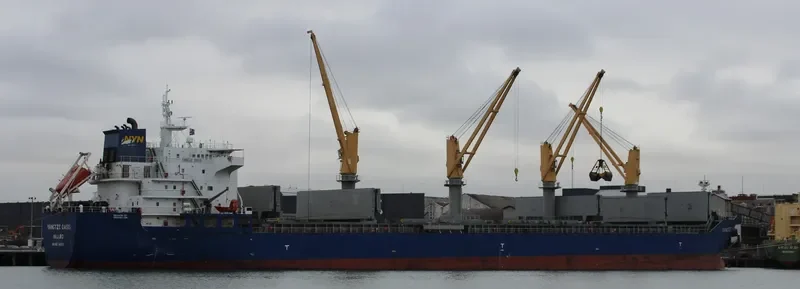 YANGTZE OASIS Bulk Carrier IMO 9461972 photo 6