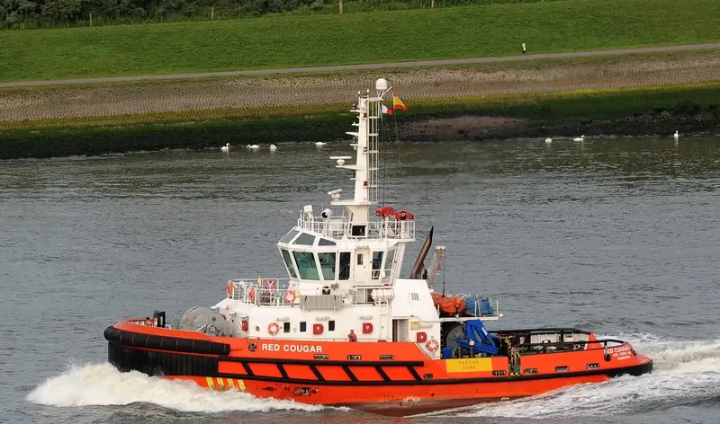 RED COUGAR General Cargo IMO 9462328
