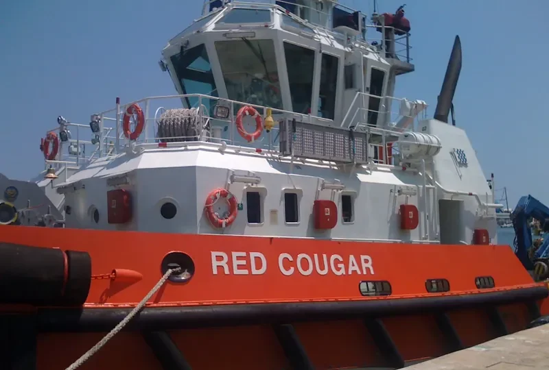 RED COUGAR General Cargo IMO 9462328 photo 10