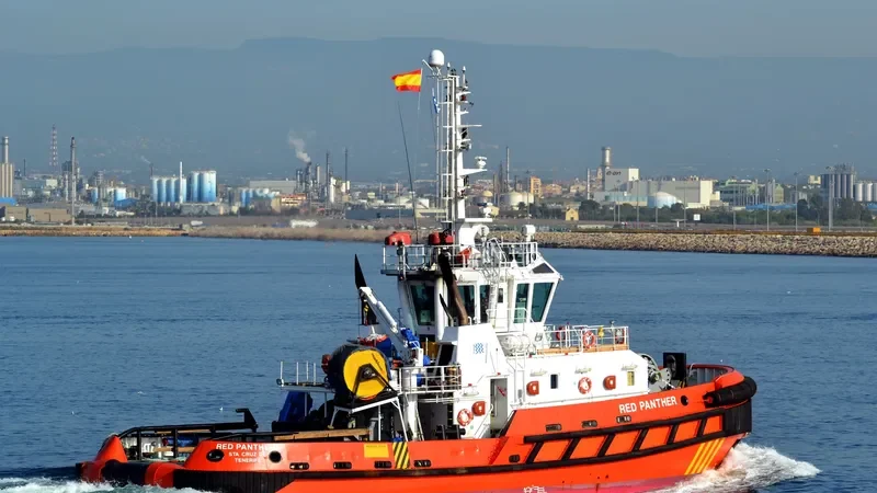 RED PANTHER General Cargo IMO 9462330 photo 5