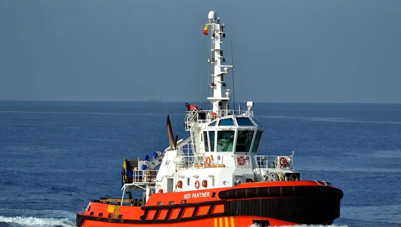 RED PANTHER General Cargo IMO 9462330 photo 6