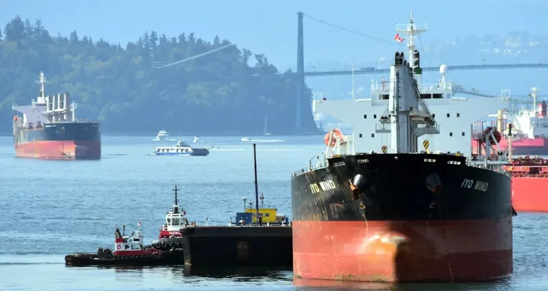 THEODORA Bulk Carrier IMO 9462445