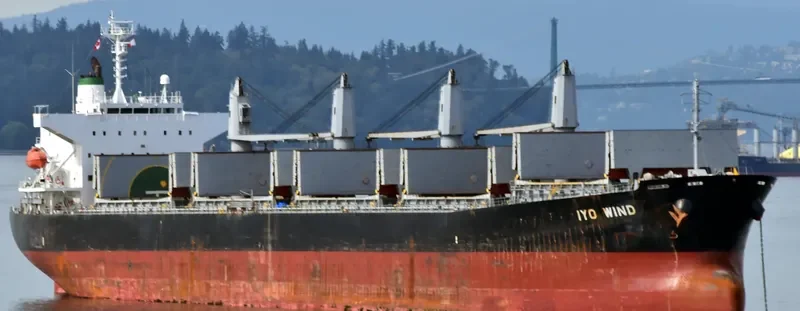 THEODORA Bulk Carrier IMO 9462445 photo 2