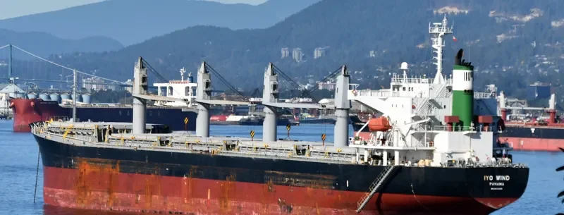 THEODORA Bulk Carrier IMO 9462445 photo 3