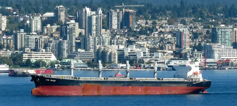 THEODORA Bulk Carrier IMO 9462445 photo 5