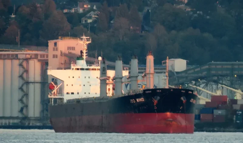 THEODORA Bulk Carrier IMO 9462445 photo 7