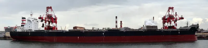 EMIL Bulk Carrier IMO 9462483 photo 2
