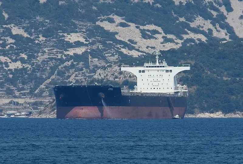 EMIL Bulk Carrier IMO 9462483 photo 5