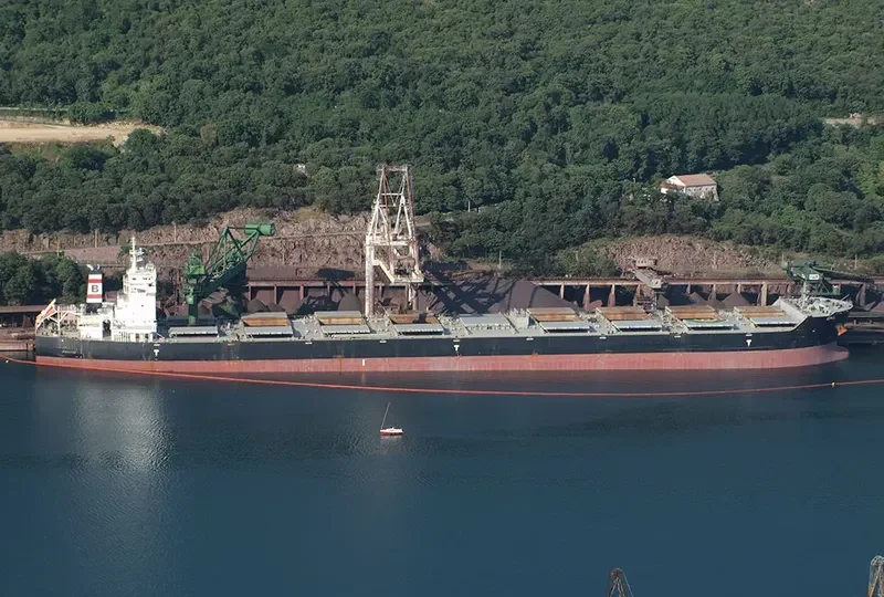 EMIL Bulk Carrier IMO 9462483 photo 8