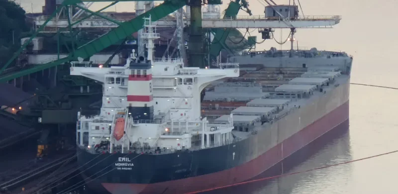 EMIL Bulk Carrier IMO 9462483 photo 9