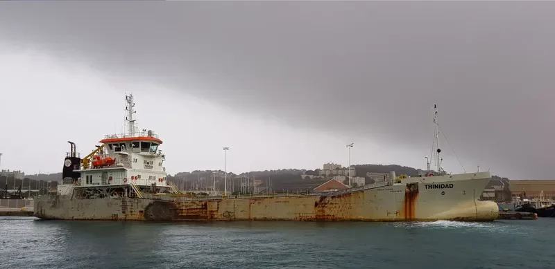 TRINIDAD General Cargo IMO 9462653