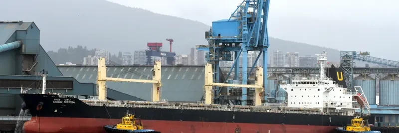 SEASTAR VALIANT Bulk Carrier IMO 9462768