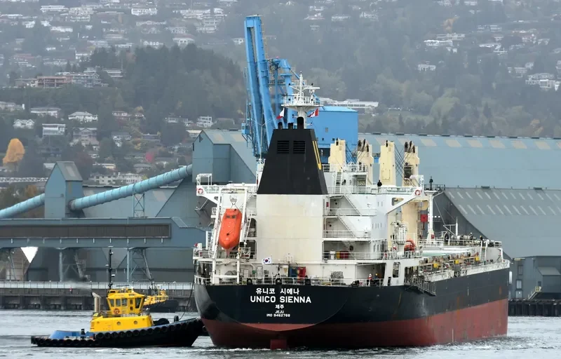 SEASTAR VALIANT Bulk Carrier IMO 9462768 photo 3