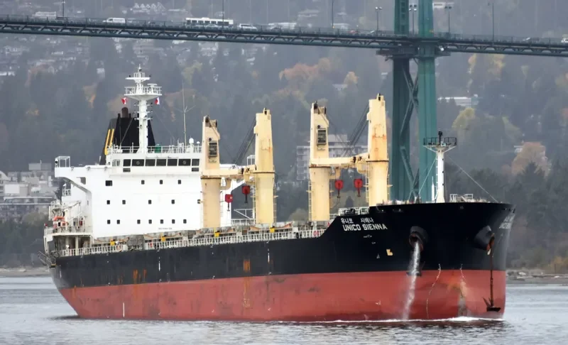 SEASTAR VALIANT Bulk Carrier IMO 9462768 photo 5