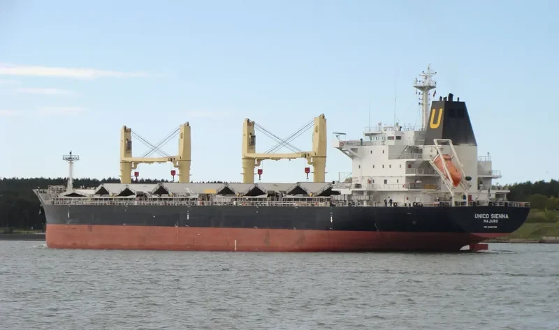 SEASTAR VALIANT Bulk Carrier IMO 9462768 photo 8