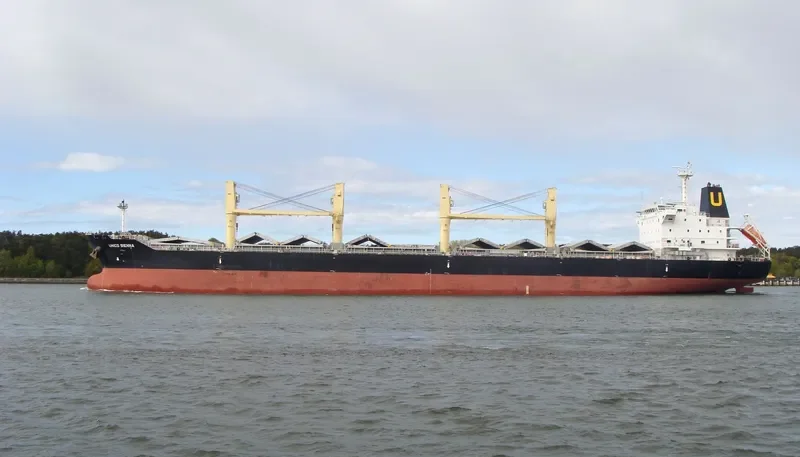 SEASTAR VALIANT Bulk Carrier IMO 9462768 photo 9