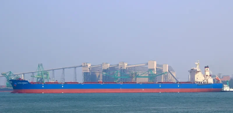 ALPHA DIGNITY Bulk Carrier IMO 9462811 photo 5