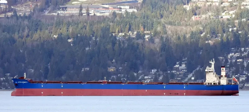 ALPHA DIGNITY Bulk Carrier IMO 9462811 photo 8