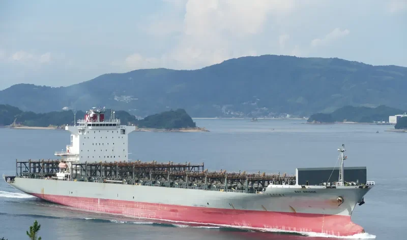 BAY BRIDGE Container Ship IMO 9463267 photo 9