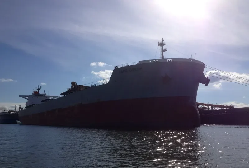 CAPE DREAM Bulk Carrier IMO 9463322
