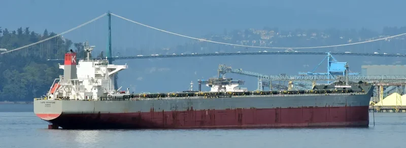 CAPE KEYSTONE Bulk Carrier IMO 9463334 photo 2