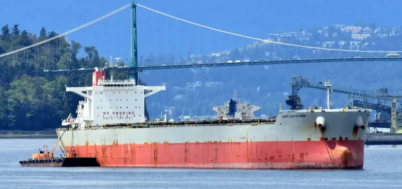 CAPE KEYSTONE Bulk Carrier IMO 9463334 photo 6