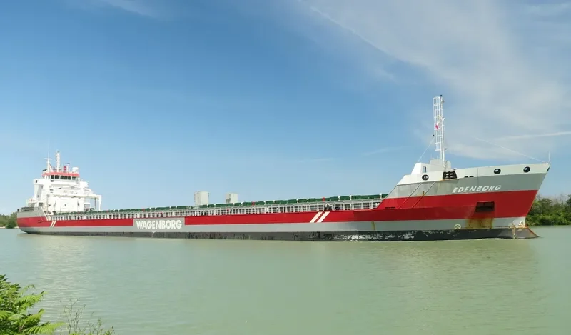 EDENBORG Container Ship IMO 9463449 photo 5