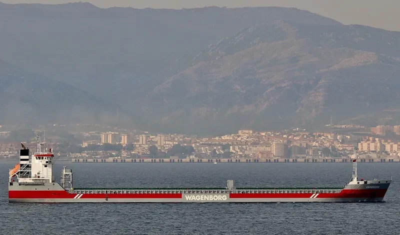 EBROBORG Container Ship IMO 9463451 photo 5