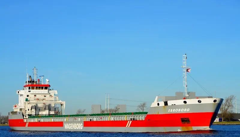 EBROBORG Container Ship IMO 9463451 photo 7