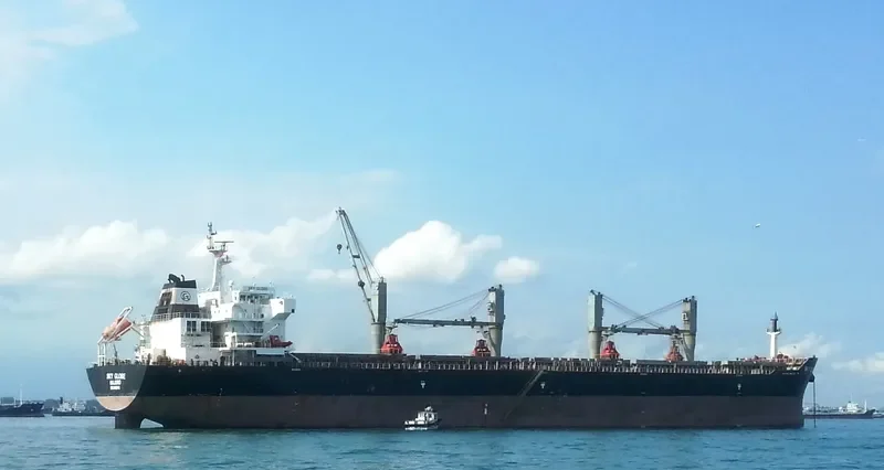 SKY GLOBE Bulk Carrier IMO 9463748 photo 3