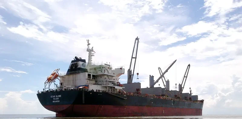 STAR GLOBE Bulk Carrier IMO 9463750 photo 2