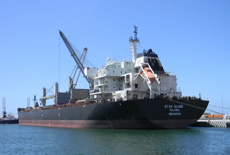 STAR GLOBE Bulk Carrier IMO 9463750 photo 5