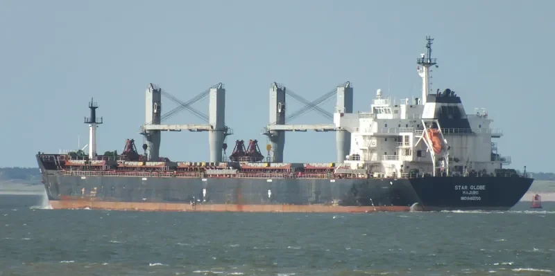 STAR GLOBE Bulk Carrier IMO 9463750 photo 6
