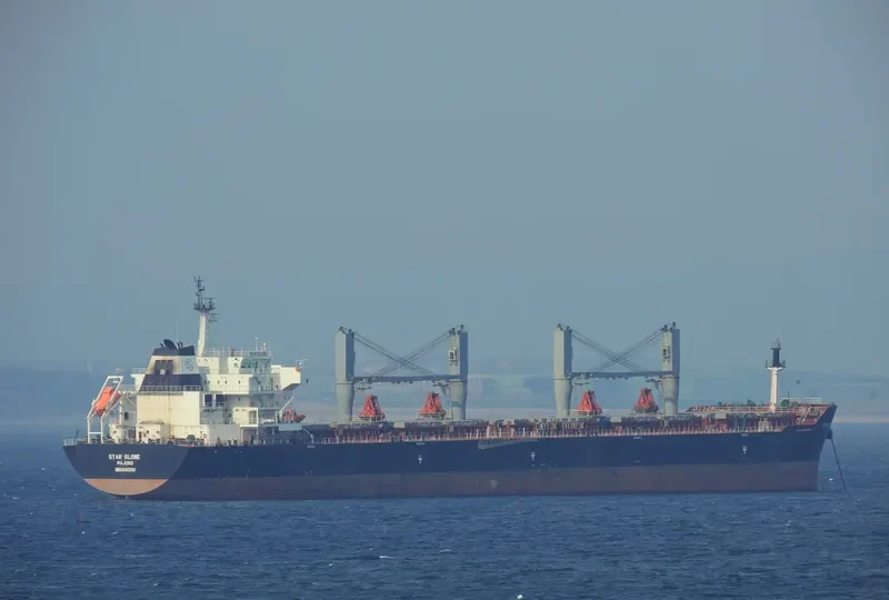 STAR GLOBE Bulk Carrier IMO 9463750 photo 10