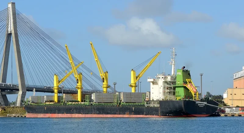 ANANYA NAREE Bulk Carrier IMO 9464003 photo 3
