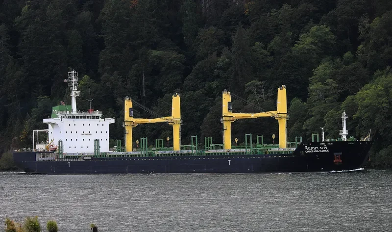 CHINTANA NAREE Bulk Carrier IMO 9464039 photo 2